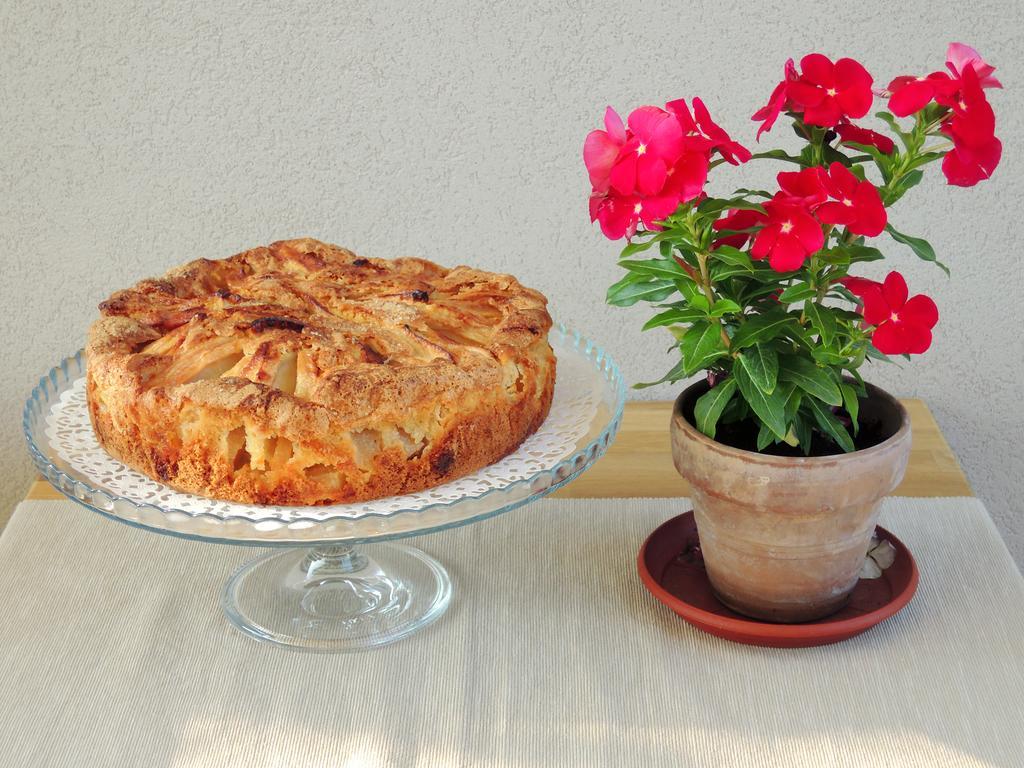 Terrasole Bakery B&B 泰拉西尼 外观 照片