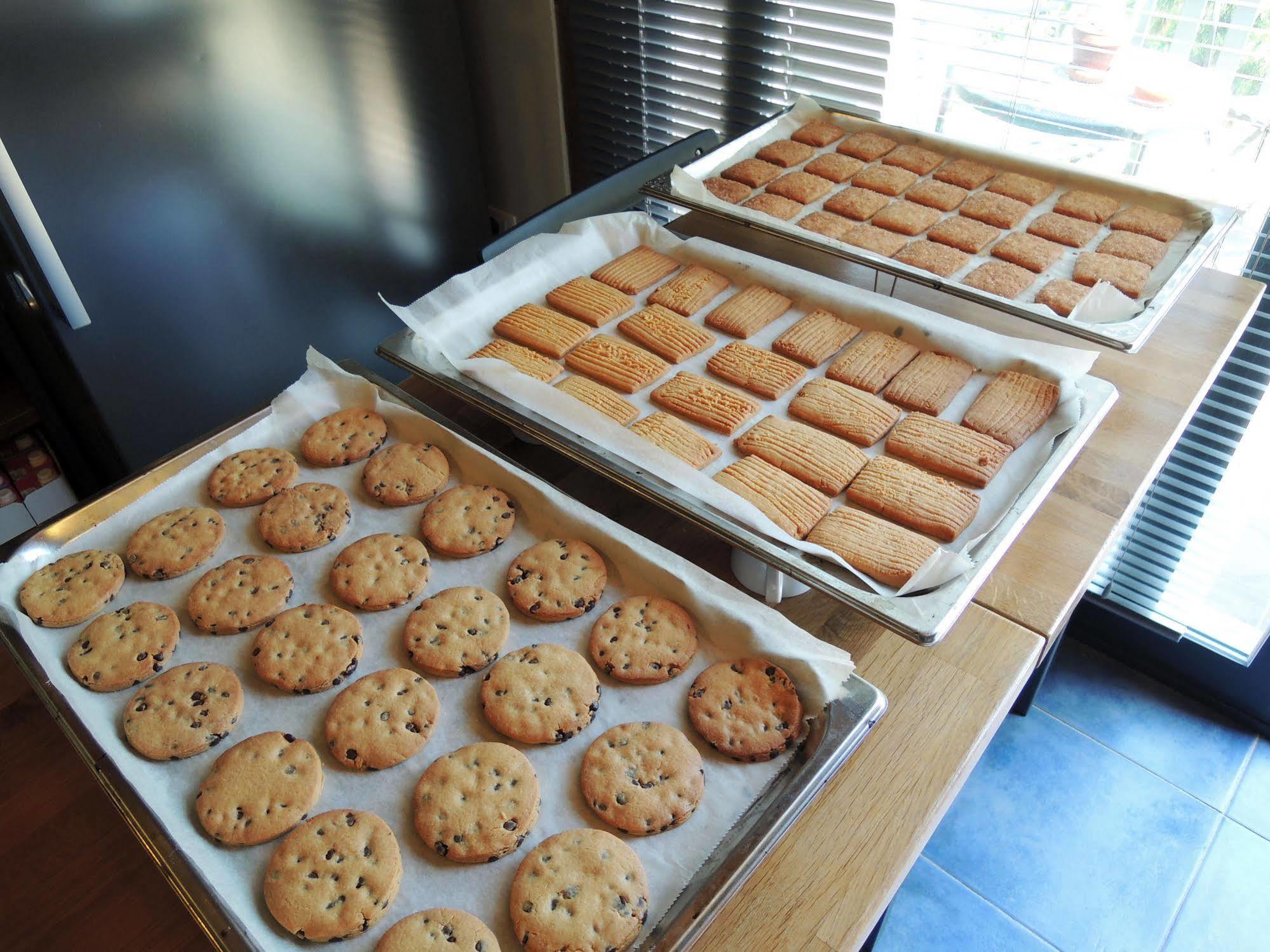 Terrasole Bakery B&B 泰拉西尼 外观 照片