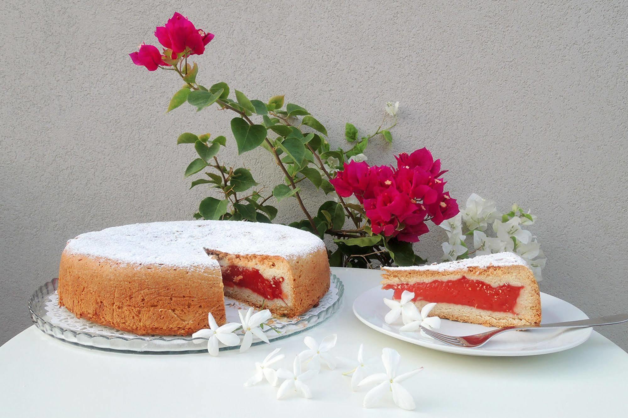 Terrasole Bakery B&B 泰拉西尼 外观 照片